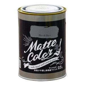 ATqy }bgJ[ 0.5L X[gO[  c pr yCg Matte color 4970925469830