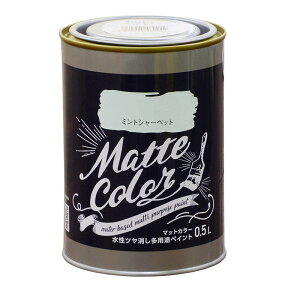 ATqy }bgJ[ 0.5L ~gV[xbg  c pr yCg Matte color 4970925469922