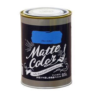 ATqy }bgJ[ 0.5L u[XJC  c pr yCg Matte color 4970925469984