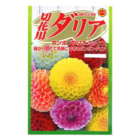 楽天市場 ダリア 切花の通販 楽天市場 ダリア 切花の通販