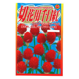 楽天市場 ストロベリーフィールド 花の通販 楽天市場 ストロベリーフィールド 花の通販