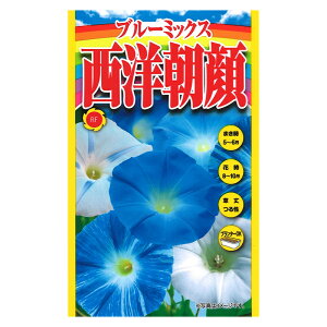 種 西洋朝顔の人気商品 通販 価格比較 価格 Com