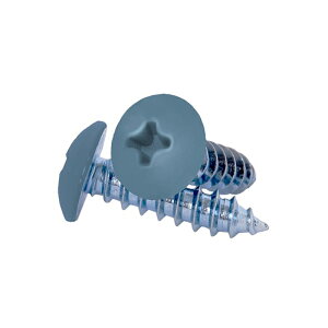 ���Y�� �g���C�W���C���g ��p�l�W 25�{���� 4X20 �u���[ TJ420BU ���[���֑Ή��i10�܂Łj �����񂹕i 4903768664957