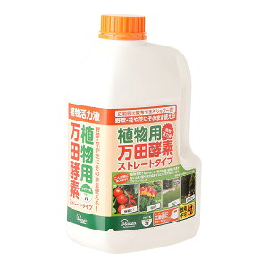 cyf Ap Xg[g^Cv 2L V[^Cv 4909882141404