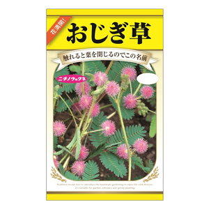 オジギソウの通販 価格比較 価格 Com