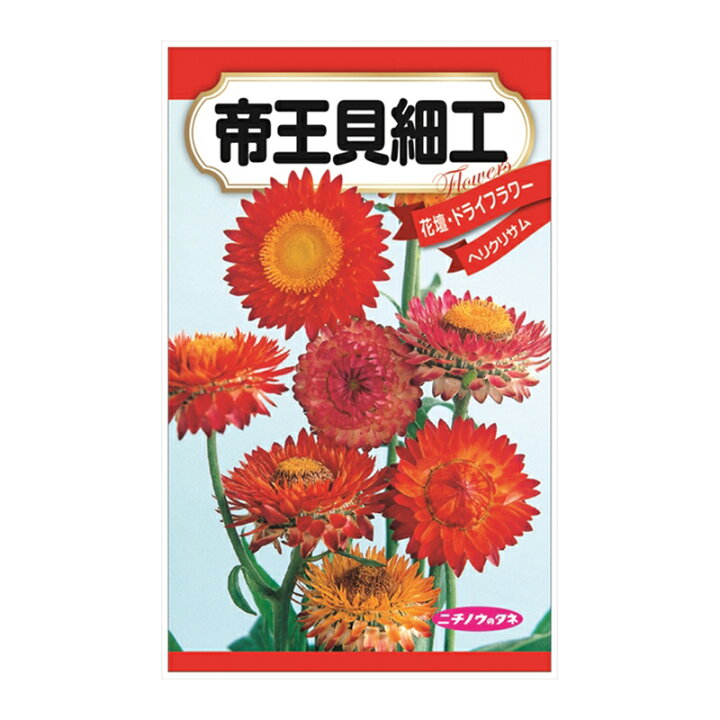 人気デザイナー 貝細工 Terminalesmedellin Com