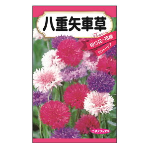 矢車 種の人気商品 通販 価格比較 価格 Com 矢車 種の人気商品 通販 価格比較 価格 Com