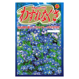 楽天市場 忘れな草 種の通販