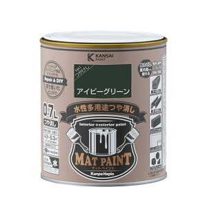 JynsI }bgyCg 0.7L ACr[O[ pr 4972910028015