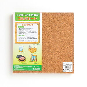 RNV[g p 300×300×4mmi8j 4905309058027
