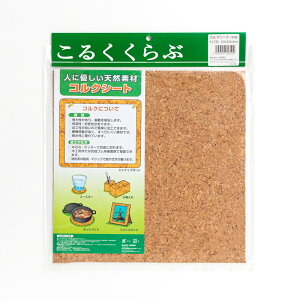 RNV[g 300×300×6mm 1 4905309058126