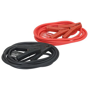 厩H u[X^[P[u DC12VE80A 3.5m ebN BT-11 4906918810037