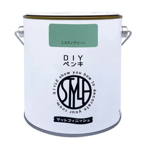 jby  h STYLE DIYyL 1kg ~XeBO[ }bgtBjbV Ȃ  4976124887475