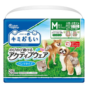 GG[ ybg L~ ANeBuEFA pc^Cv Mȏ ^`^p 26 剤 4902011105773