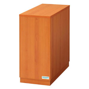 omoio IcqNRpe וu CguE xr[[ ICI BR-NR-ST [J[i 4515161090525