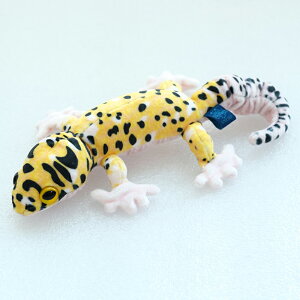 LY v}jA M/G }Olbg^Cv qEgJQhLM/G gJQhL }Olbg ʂ RM-13MG 4960222401251