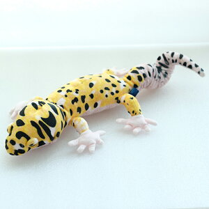 LY v}jA ʂS qEgJQhLS gJQhL ʂ RM-12S 4960222401398