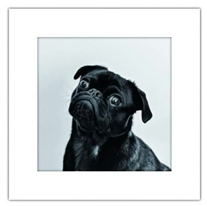 ܂ɂ }Cbg A[gg Ck pgCZbg 5  ~gC h ATW-5 502206 4571263021461