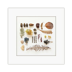 ܂ɂ }Cbg A[gg lC`[Ntg pgCZbg 5  ~gC h ATW-5 502218 4571263021911