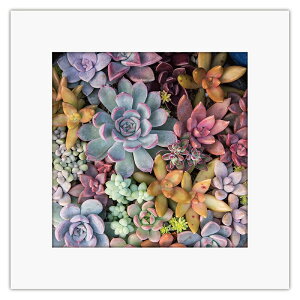 ܂ɂ }Cbg A[gg A pgCZbg 5  ~gC h ATW-5 502219 4571263021928