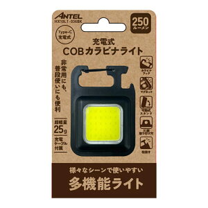 YSN Ae [d COB JriCg ubN 250lm @\Cg HX10LT-036BK 4580510988860