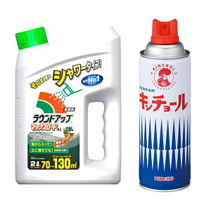 yejoyʌʃZbgz Yw  EhAbv }bNX[h AL 2L { {e L`[ V 450ml ƒpE KINCHO { IWi^I v[g 4987115100909 4957919634