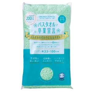 {^I oX^IƐ錾 33cm×100cm GhO[ 100 { RpNg oX^ȊɂȂ ^I 4937765030453
