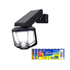 yZbgzELPA Gp LEDZT[Cg dr ESL-151DC TOSHIBA  P3`AJdr 20{ LR6L 20MP 4901087221288