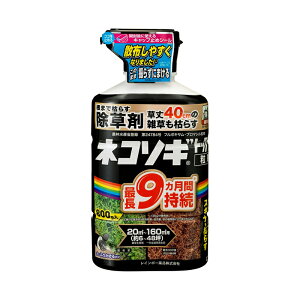i摜