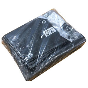 hH O 2540 MSV ^bNVo[ pCvԌ p֖ p 4984665525015