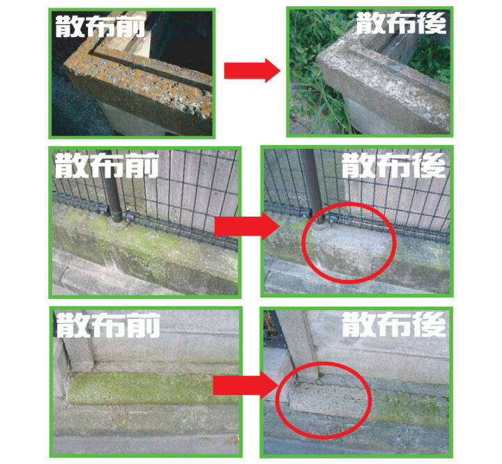 楽天市場 ３０セカンズ ワンステップ スプレー クリーナー ２l 噴霧器 ４l セット 5倍濃縮液 アルタン 30セカンズ 苔 コケ コケ落とし 苔除去 洗剤 こけ 外壁 除去 カビ除去 墓地掃除 墓 噴射機 噴射器 Diy スーパーメガホームセンター Ejoy