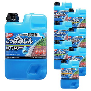 y8{Zbgz C{[i ς݂V[ 2L t  A~m_n ܂Ō͂炷 4903471102500