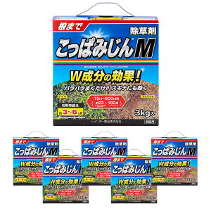 y6Zbgz C{[i ς݂M 3kg  ܂ ƒp  4903471308490