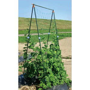 DAIM 傱ƒIxZbg 900mm×1800mm 4968438021843