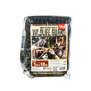 _CI ChCtK[h hblbg 25mm  ubN 1m×10m 4960256471299