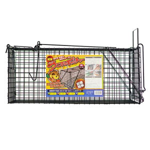 }cg Aj}Lb`[ MTCY ߊl bQ΍ ȒPݒu AC-26 4522031185014