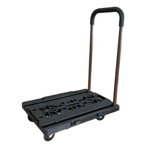 }cg WCgL[  ^  4 gݍ킹\ JC-100 4522031390234