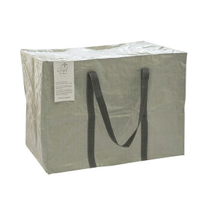 Ƃ݂N[jO h[obO 4589949581826