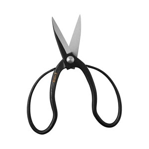 A[NY _ n v 200mm  ΂ ͂ [֑Ήi1܂Łj 4904781662609