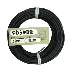 �_�C�h�[�n���g ���炩�j�� �o�C���h�� ���C���[ #12 ��2.6mm×20m 55963 4962123559635