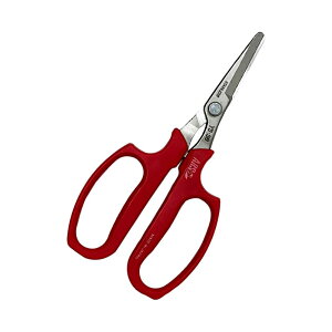 AXR[|[V ؎n |pnT~ YS-38 [֑Ήi2܂Łj 4965280664365