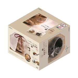 LeB[} ɂ񂱂̋ MTCY L Lpxbh 4976555879643