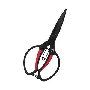 g OXt@Co[  ΂ ͂ SGFP-4 [֑Ήi1܂Łj 4977292628198