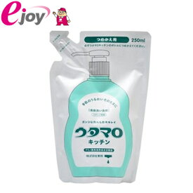 ウタマロ　キッチン　つめかえ用　250ml　【東邦】（清掃用品　掃除用品　洗剤　スプレー洗剤） DIY