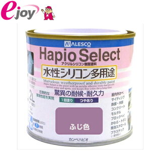 nsIZNg@0.2L@ӂF yKanpeHapio JynsIz(ƒp h h ANVR  O@ؕh Sh RN[gh h yL) DIY