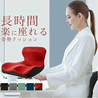 腰痛 クッション オフィス おすすめ デスクワーク 姿勢 グッズ 骨盤 腰痛対策 骨盤クッション 座椅子 シ…