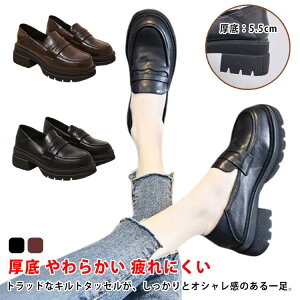 [t@[ fB[X w ₷ C V[Y XN[[t@[ [q[  q[ C ₷ WjA w ʋ ʊw w  Z q XN[ JWA 