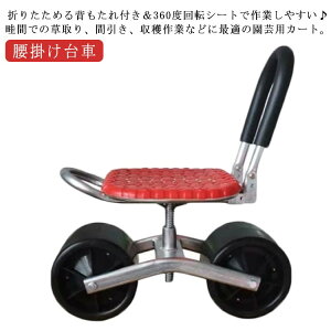 | |pJ[g   360°] wt LX^[t _ ֎q d   | K[fjO ƈ֎q Ǝ ƃCX ^Ct |֎q ړ