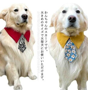 ^ XJ[t hXAbv 悾| p悾ꂩ LbgEFA   ybgpANZT[ RXv hbNEF