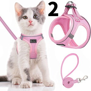 L Lp n[lX  L ˂ lR qL q ^ U o Ȃ xXg \tg y ʂ}WbNe[vő TCY߉ 锽 ʋCbV